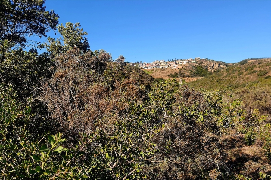 0 Bedroom Property for Sale in De Bakke Western Cape